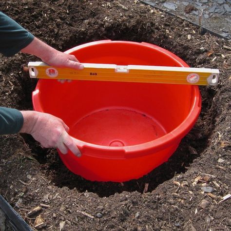 Bucket Pond Ideas, Bucket Pond, Container Pond, Diy Ponds Backyard, Ponds For Small Gardens, Small Water Gardens, Backyard Birds Feeders, Container Water Gardens, Building A Pond