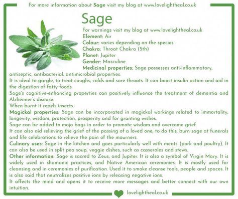 Sage Properties Magic, Magical Properties Of Sage, White Sage Properties, Lotus Embryo Magical Properties, Sage Spiritual Meaning, White Sage Magical Properties, Sage Magical Properties, Sage Properties, Sage Witchcraft