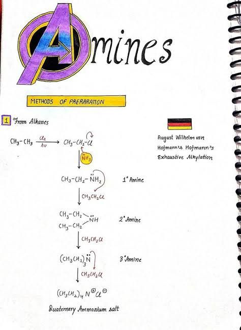 Hand written for organic chemistry amines Amines Notes, Chemistry Ideas, Hand Written Notes, Written Notes, Parent Trap, I Love U, Organic Chemistry, Handwritten Notes, Note Book