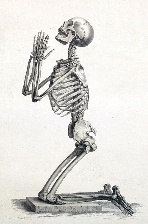 Human Skeleton Print Anatomy Skeleton Picture Medical Art Medical Student Gift Vintage Skeleton art-619 - Etsy Latvia Grunge Skeleton, Anatomy Skeleton, Medical Artwork, Anatomy Illustration, Skeleton Anatomy, Skeleton Illustration, Art Assignments, Vintage Skeleton, Medical Student Gift