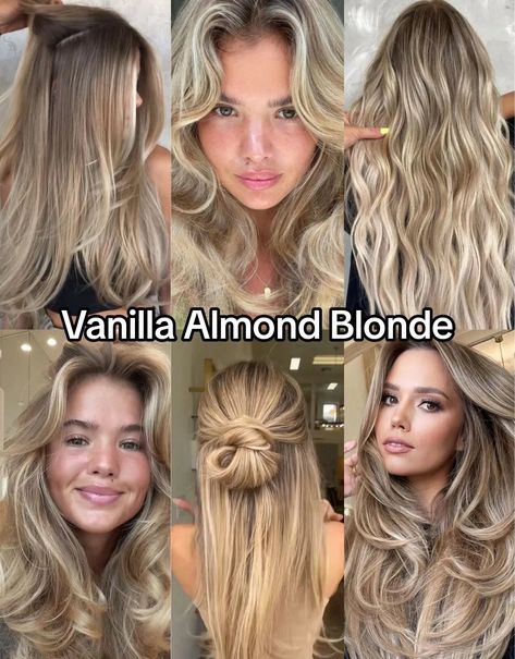 Is vanilla almond blonde hair right for you? Explore how this soft, neutral blonde shade complements cool and warm undertones. Hair For Warm Undertones, Vanilla Almond Blonde, Almond Blonde Hair, Almond Blonde, Neutral Blonde Hair, Healthy Blonde Hair, Best Blonde Hair, Perfect Blonde Hair, Summer Blonde Hair