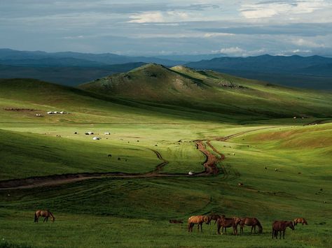 I want to work for NatGeo. That or be paid by someone else to travel and take in amazing sceneries like this one in Mongolia. Realist Painting, Painting Scenery, National Geographic Photos, Landscape Wallpaper, Mongolia, Nature Wallpaper, National Geographic, Laos, Beautiful World