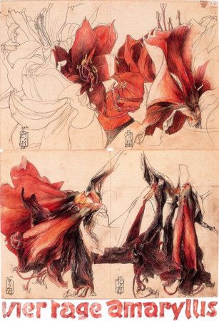 HORST JANSSEN Horst Janssen, Images D'art, Artist Sketchbook, Oldenburg, Art Abstrait, Botanical Illustration, Botanical Art, Sign Art, Floral Painting