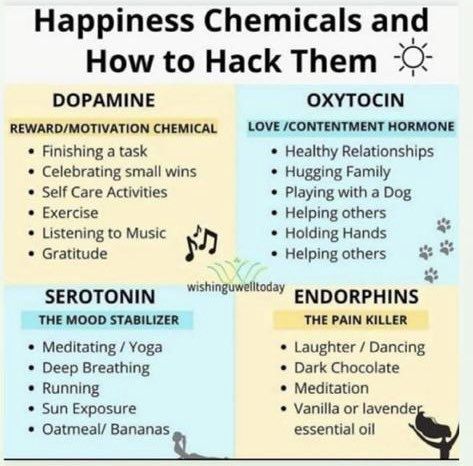 Happiness Chemicals, Birthday Nephew, 1000 Lifehacks, Mood Stabilizer, Happy Hormones, Mental And Emotional Health, Self Care Activities, Health Facts, Coping Skills