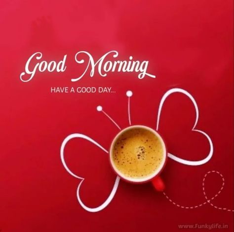 Good Morning My Life, Sunday Morning Wishes, Best Good Morning Images, Beautiful Good Morning Images, New Good Morning, Happy Good Morning Images, Good Morning Wishes Gif, Lovely Good Morning Images, Beautiful Good Morning