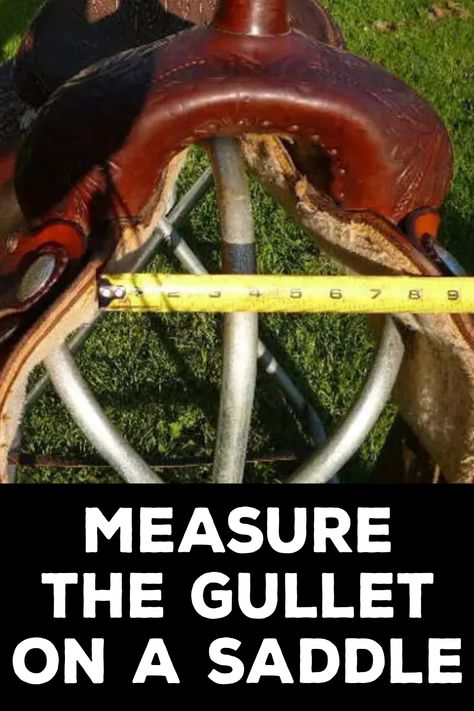 How to Measure the Gullet on a Saddle Saddle Fitting, Leather Converse, English Saddle, Western Saddle, English Style, How To Measure, The Horse, Leather Items, Beautiful Horses