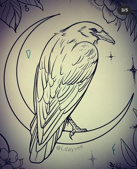 Crow And Moon Drawing, Colored Raven Tattoo, Morrigan Crow Tattoo, How To Draw A Raven Easy, Raven Outline Drawing, Simple Raven Tattoo Outline, Raven Pencil Drawing, Crow Sketch Pencil, Raven Sketch Simple