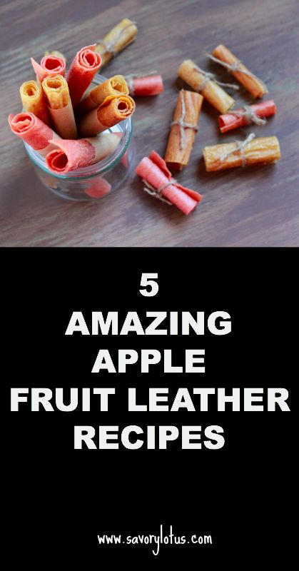 Fruit Leather Recipe Dehydrator, Fruit Leather Dehydrator, Homemade Fruit Leather, Quick Dinner Recipes Healthy, Fruit Leather Recipe, Dehydrated Apples, Apple Recipes Easy, Fruit Leather, Healthy Snack Options