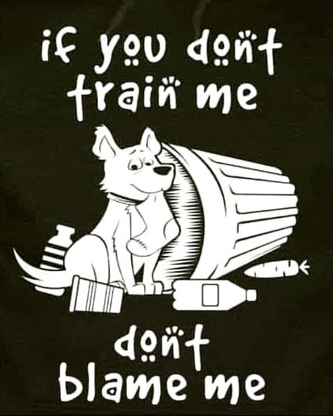 If you don't train me, don't blame me Dog Training Quotes, Dogs Love Quotes, Saturday Motivation, Spoiled Dog, Training Quotes, Easiest Dogs To Train, Dogs Love, Dog Mama, Dog Obedience