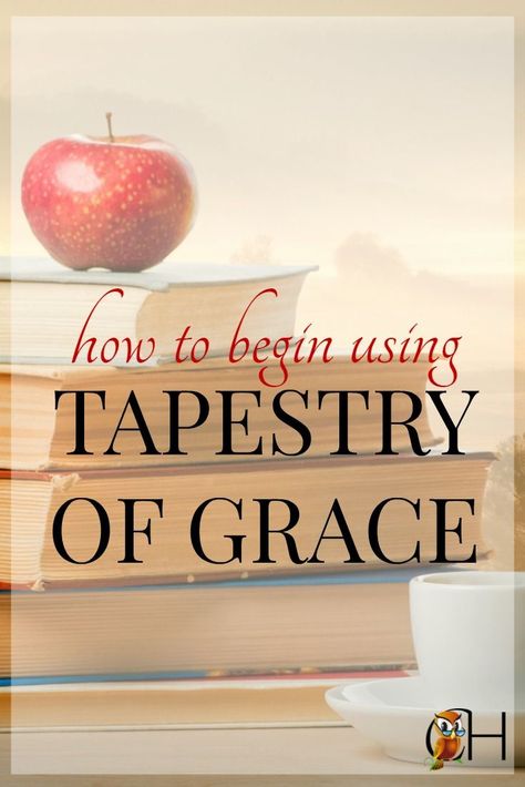 Conquer the fog! Begin using Tapestry of Grace | How to schedule TOG | Help starting TOG Homeschool Elementary Science, Homeschool Middle School Curriculum, Homeschool Phonics, Homeschool High School Curriculum, Tapestry Of Grace, Classical Homeschool, School Planning, Homeschool Middle School, Elementary Curriculum