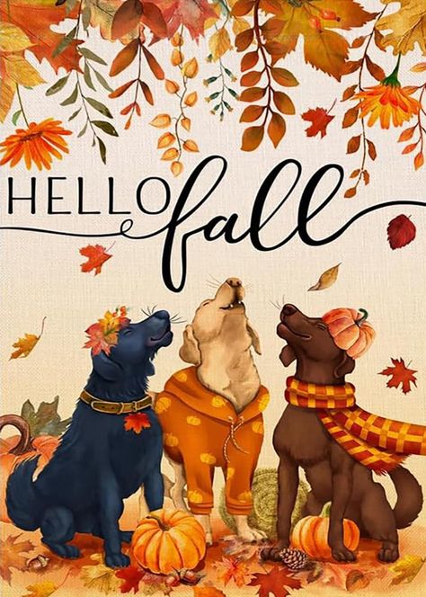 Amazon.com: 5D Fall Dogs Diamond Painting Kits for Adults Beginners,Autumn Leaves Diamond Art Kit,DIY Full Round Drill Diamond Dot Gem Art Kits for Adults,Home Wall Decor 11.8x15.7 Inch : Arts, Crafts & Sewing Fall Dogs, Turkey Dogs, Snow Animals, Autumn Holiday, Dog Beer, Fall Garden Flag, Dog Garden, Jigsaw Puzzles For Kids, Learning Toys For Toddlers