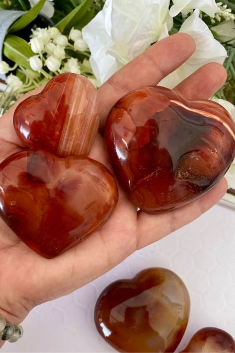 Red Carnelian is best known for supporting: Inspiration Motivation Protection Positivity #carnelian #redcarnelian #heartcrystals #heartstones #crystals #palmstones #instacrystals #gemstones #crystalstore #crystalstones #crystalshops #crystalshopping #crystalshop #crystalsforsale #crystalseller Pretty Crystals, Bluffton South Carolina, Peaceful Night, Crystals Store, Crystal Keychain, Black Moonstone, Red Carnelian, Carnelian Crystal, Orange Crystals