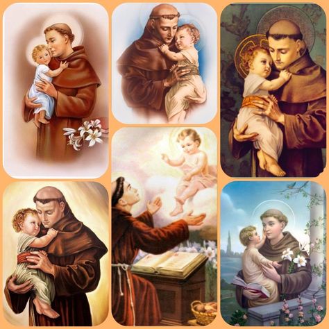 St Antony Images, St Antony Images Hd, Saint Antony, Wallpaper 1080p, Catholic Wallpaper, St Anthony's, Saint Anthony Of Padua, Santo Antonio, Flower Wallpapers