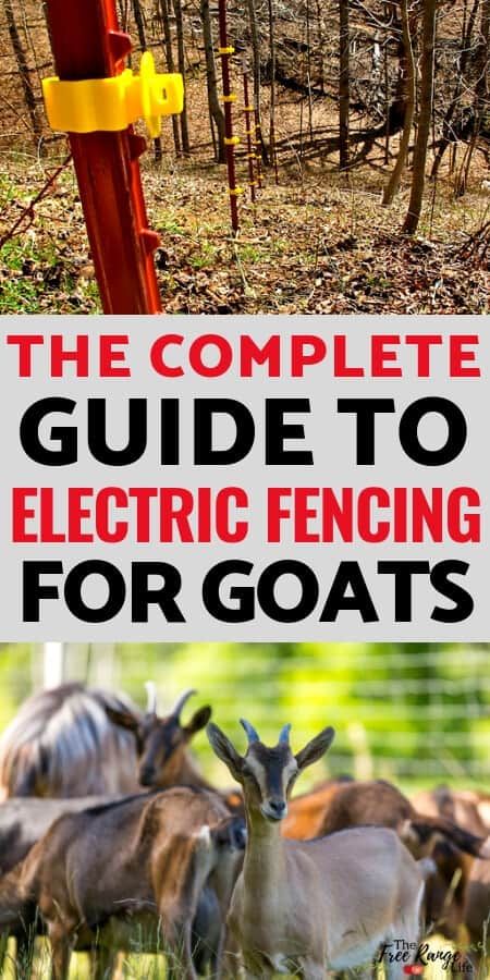 Goat Electric Fence, Electric Fence For Goats, Electric Fence Ideas, Goat Fence Ideas, Fence For Goats, Diy Electric Fence, Goat Tractor, Electric Fence For Cattle, Goat Projects