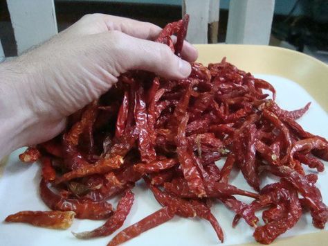 3 ounces of dried Thai chilies ready for hot-saucifying Fresh Veggie Recipes, Fire Sauce, Cilantro Salsa, Dried Chili Peppers, Homemade Hot Sauce, Chili Spices, Salsa Sauce, Thai Chili, Hot Sauce Recipes