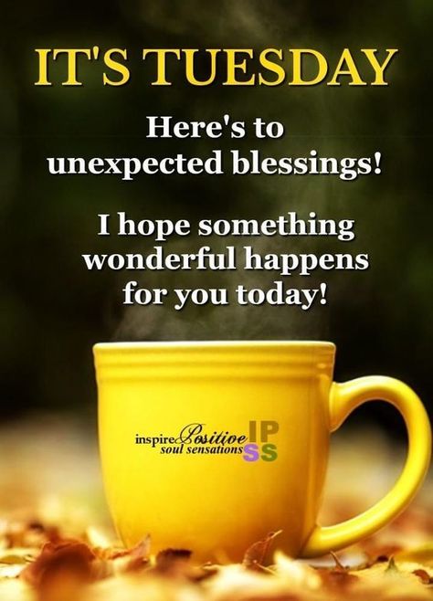 It's Tuesday. Here's to unexpected blessings! day days tuesday tuesday quotes happy tuesday tuesday quote its tuesday Morning Quotes Tuesday, Tuesday Morning Quotes, Tuesday Morning Wishes, Good Morning Tuesday Wishes, Tuesday Wishes, Tuesday Motivation Quotes, Thursday Morning Quotes, Unexpected Blessings, Nice Messages