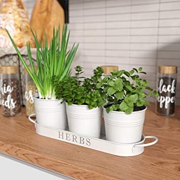 Window Herbs, Herb Window, Affordable Farmhouse Decor, Windowsill Plants, Herb Garden Pots, Herb Garden Planter, Herb Garden In Kitchen, Kitchen Plants, Kitchen Herbs