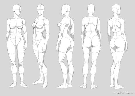 Figure Drawing Female, Male Figure Drawing, Character Design Cartoon, Body Sketches, Images Kawaii, Human Figure Drawing, Anatomy Sketches, Female Anatomy, Anatomy Drawing