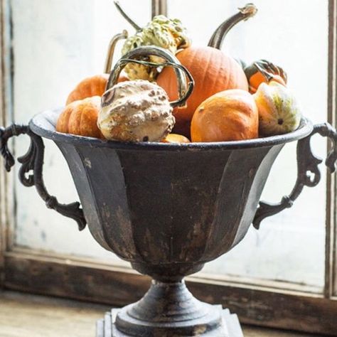 Table Terrain в Instagram: «It’s live on the site! We 🧡 this gorgeous Urn. And it’s a good size. Perfect for the sideboard or foyer table. Click on the link or goto…» Legends Of The Fall, Urn Planters, Urn Vase, Fall Thanksgiving Decor, Fall Tablescapes, Christmas Decorations Ornaments, Wood Dust, Fall Thanksgiving, Autumn Home