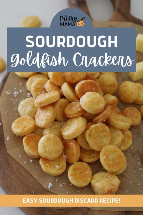 Sourdough Goldfish Crackers (Sourdough Cheddar Crackers) Discard Crackers Cheese, Sourdough Cheez It Crackers, Discard Goldfish Crackers, Sourdough Gram Crackers, Easy Sourdough Crackers, Sourdough Saltine Crackers, Sourdough Cheese Straws, Sourdough Cheese Its, Sourdough Baby Snacks