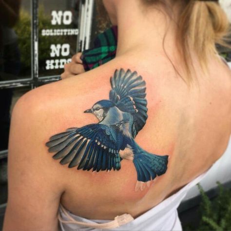 Blue jay tattoo Truth and Triumph Dayton Oh Daniil Blue Dove Tattoo, Blue Jay Tattoo Design, Stellar Jay Tattoo, Blue Jay Tattoo Black And White, Blue Jay Bird Tattoo, Bluejay Tattoo, Blue Bird Tattoo, Blue Jay Tattoo, Jay Tattoo