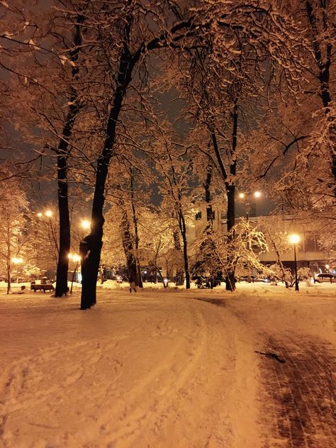 Beautiful Winter Pictures, Snow Night, I Love Winter, Winter Love, Winter Vibes, Christmas Wonderland, Winter Scenery, Snowy Day, Winter Pictures