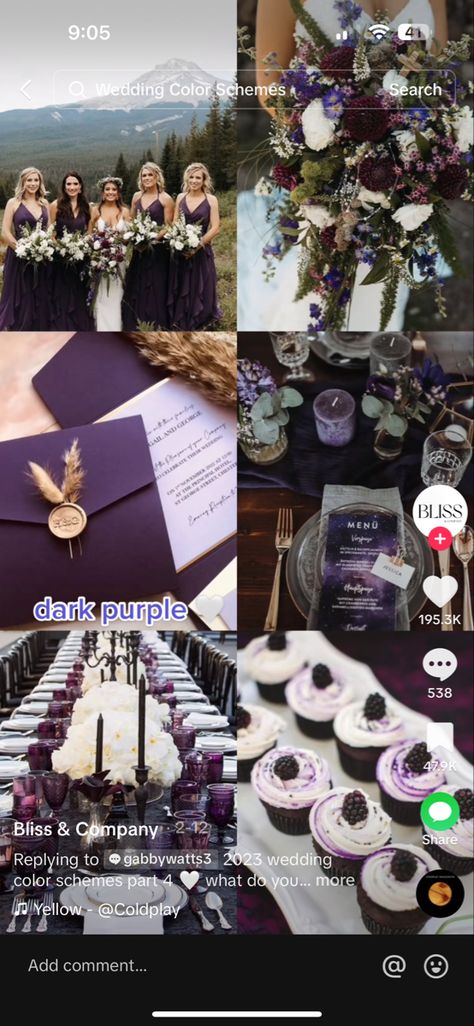 Black Plum Wedding, Amethyst And Gold Wedding, Dark Purple Wedding Decorations, Purple Black And Blue Wedding, Lavender And Black Wedding Theme, Purple And Black Wedding Theme, Black And Purple Wedding Theme, Moody Purple Wedding, Dark Purple Wedding Theme