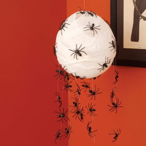 Long legged spider Paper Mache Spider, Festa Hotel Transylvania, Halloween Living Room Decor, Spider Craft, Halloween Craft Activities, Harvest Theme, Halloween Living Room, Halloween Arts And Crafts, Fun Halloween Decor