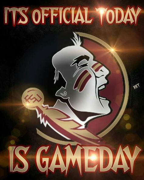 Go Noles! Fsu Wallpaper, Seminole Art, Fsu Seminoles Football, Noles Football, Fsu Logo, Florida State Seminole, Florida State Seminoles Football, Florida State Football, Seminoles Football