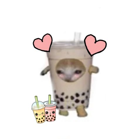 Boba Pfp Aesthetic, Boba Icon, Cat With Boba, Cat Boba, Boba Aesthetic, Milk Cat, Cute Boba, Cats Pictures, Decal Codes