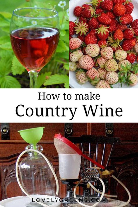 Country Wine Recipes, Homemade Booze, Fermented Beverages, Homemade Wine Recipes, Bug Juice, Wine Yeast, Wine Making Equipment, Brewing Recipes, Homemade Beer