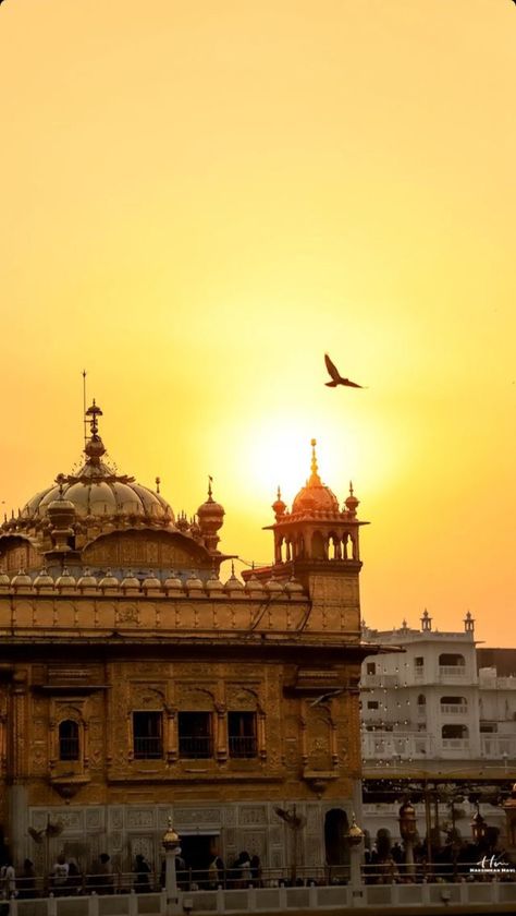 Waheguru Profile Pics, Darbar Sahib Golden Temple Wallpaper, Darbar Sahib Wallpaper, Waheguru Wallpapers Hd For Iphone, Sikh Aesthetic Wallpaper, Sikh Wallpapers Hd Wallpaper, Waheguru Wallpapers Hd, Golden Temple Amritsar Hd Wallpaper, Harmandir Sahib Wallpaper