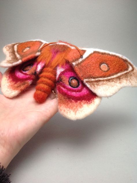 Hand made needle felted moth made from merino wool by Artisan Fibre on etsy Needle Felted Insects, Needle Felted Moth, Needle Felted Bugs, Felted Moth, Cute Moth, Felt Food Diy, Fabric Fish, Needle Felting Ideas, Felted Wool Crafts