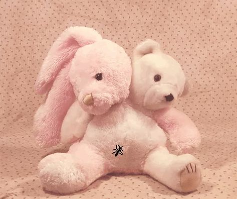 Creepy Stuffed Animals, Creepy Toys, Custom Bunny, Conjoined Twins, Bunny And Bear, Creepy Dolls, Cute Stuffed Animals, Arte Fantasy, Doll Parts