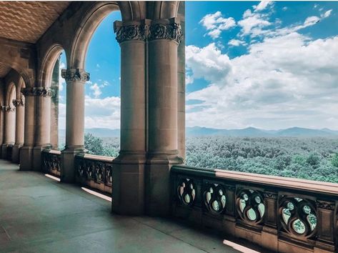 Biltmore Estate Aesthetic, Biltmore Aesthetic, Biltmore Estate Interior, Biltmore House Interior, Biltmore Mansion, Biltmore Estate Asheville Nc, Vintage Rooms, Vacation 2024, Biltmore House