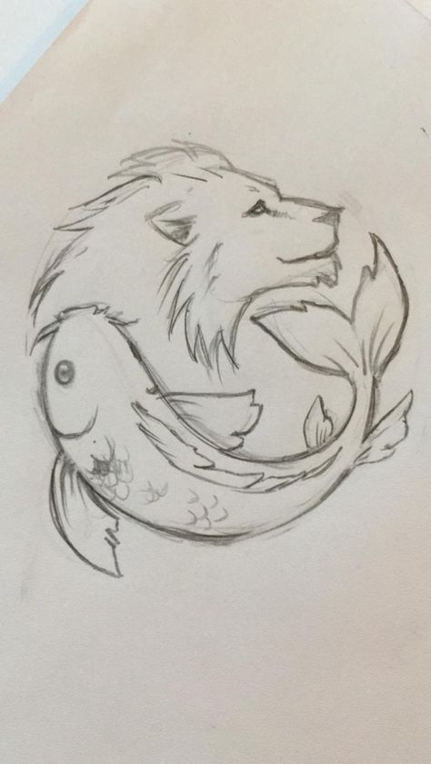 Leo Sketch Zodiac, Lion And Fish Tattoo, Leo And Pisces Tattoo Together, Pisces Leo Tattoo, Pisces And Taurus Tattoo, Pisces And Sagittarius Tattoo, Pices Zodiac Drawing, Pisces Drawing Zodiac, Leo Pisces Tattoo