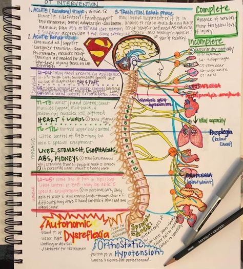 Acute care Physical Therapy Notes, Physical Therapy Student Study, Acute Care Occupational Therapy, Occupational Therapy Student, Medical Notes Aesthetic, Occupational Therapy Schools, Sistem Saraf, Physical Therapy School, Physical Therapy Student