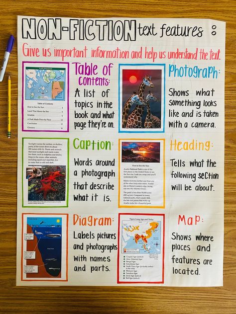 Text Features Anchor Chart, Capitalization Anchor Chart, Fiction Text Features, Summarizing Anchor Chart, Fiction Anchor Chart, Nonfiction Anchor Chart, Story Elements Anchor Chart, Suffixes Anchor Chart, Character Trait Anchor Chart