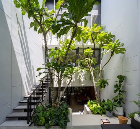 Courtyard Pattanakarn Residence / baan puripuri | ArchDaily Room Ideas Small Bedroom, Central Courtyard House, Courtyard Stairs, Sunken Courtyard, Ideas Small Bedroom, House Indian, Outdoor Staircase, Indoor Courtyard, Landscape Stairs