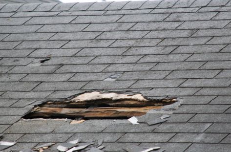 Roof Repair Diy, Roof Leak, Roof Leak Repair, Roof Ideas, Roof Damage, How To Install Gutters, Roof Inspection, Asphalt Roof Shingles, Residential Roofing