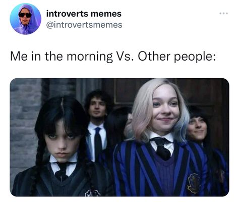 Wednesday Addams Meme, Wednesday Addams Quotes, Netflix Wednesday, Wednesday Memes, Chemical Laboratory, Luis Guzman, Nevermore Academy, Wednesday Humor, Wednesday Movie