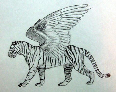 Tiger With Wings Tattoo, Tiger With Wings, Winged Tiger, Oc Insert, Tiger Spirit Animal, Mother Nature Goddess, Impossible Pie, Angel Wings Design, Tiger Drawing