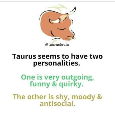 Taurus Toxic Traits, Things About Taurus, Taurus Journal, Taurus Things, Taurus Zodiac Quotes, Toxic Traits, Taurus Memes, Astrology Meaning, Taurus Traits