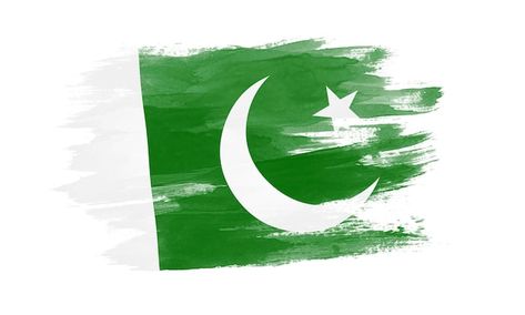 Pakistan flag brush stroke, national fla... | Premium Photo #Freepik #photo #pakistan-independence #national #pakistan-flag #flag-background Pakistan Flag Background, Pakistani Flag, Pakistan Independence, Pakistan Flag, Bussines Women Lifestyle, Feroz Khan, Blue Sky Background, Ramadan Gifts, Male Hands