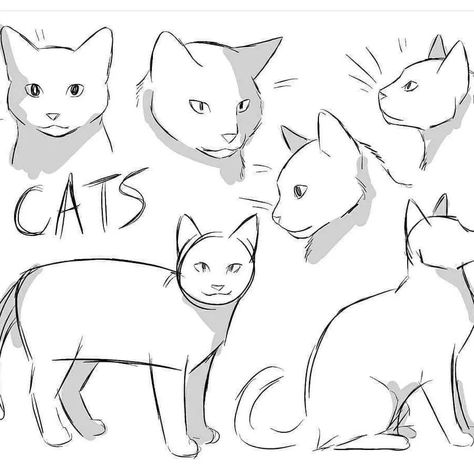 How To Draw Cats, Cartoon Cat Drawing, Draw Cats, Cat Drawing Tutorial, Cat Anatomy, Cartoon Drawing Tutorial, Draw Animals, Arte Van Gogh, Cats Art