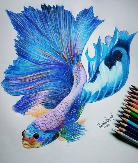 Pencil coloured Drawing Colour Pencil Shading Drawings, Koi Fish Colors, Drawing Fish, Koi Fish Drawing, Color Pencil Sketch, Doodle Quotes, Animal Drawings Sketches, Colour Shades, Pencil Shading