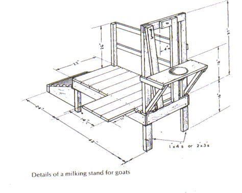 milkstand.gif 484×386 pixels Goat Milk Stand Plans, Goat Milking Stand Plans, How To Build A Goat Milking Stand, Goat Stand, Goat Stanchion Plans, Milk Stanchion, Goat Stanchion, Goat Milking Stand, Cow Milking