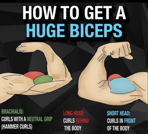 Big Biceps Workout, Huge Biceps, Forearm Workout, Gym Workout Guide, Big Biceps, Hammer Curls, Gym Tips, Weight Training Workouts, Biceps Workout