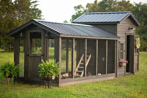 Chicken Coop Hillside, Greenhouse With Chicken Coop, Designer Chicken Coop, Chicken Coop House Ideas, Big Chicken Coop Ideas, Chicken Coop And Run Plans, Interior Chicken Coop Ideas, Large Chicken Coop Ideas, Green Chicken Coop