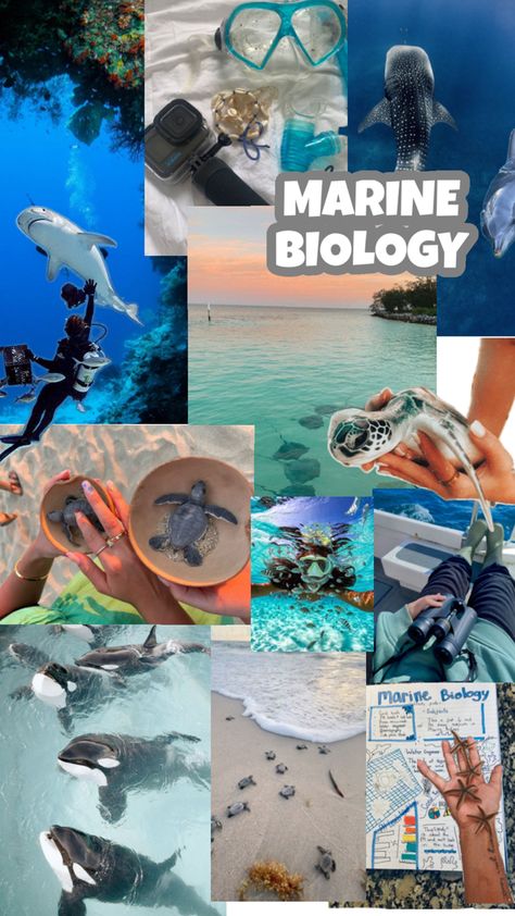 Marine Biology Major, Study Marine Biology, Marine Biology Aesthetic, Mermaid Core Aesthetic, Biology Jobs, Biology Aesthetic, Oceanography Marine Biology, Biology Book, Themed Collage